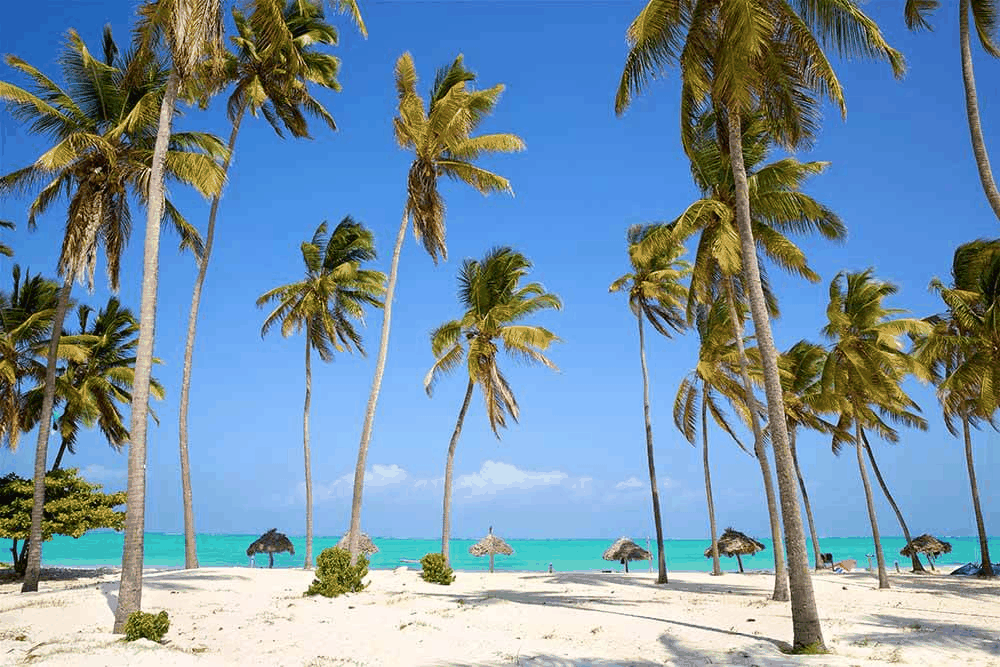 Safari & Zanzibar Beach Escape