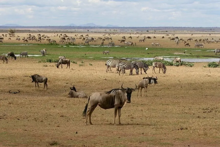 Serengeti National Park