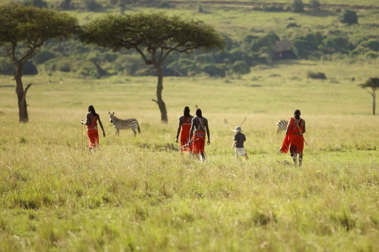 Kenya vs Tanzania Safari: Which Country Should You Choose?