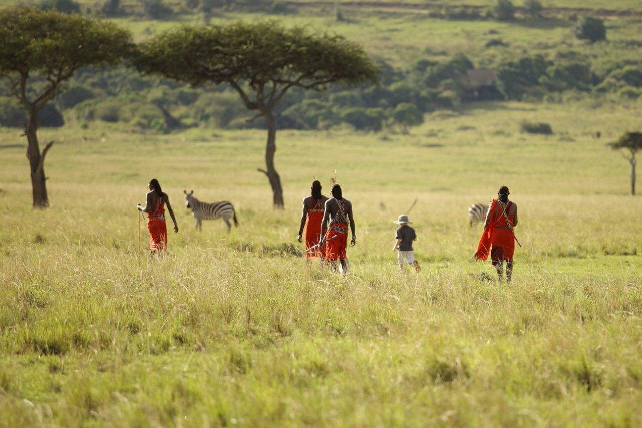 Kenya vs Tanzania Safari: Which Country Should You Choose?