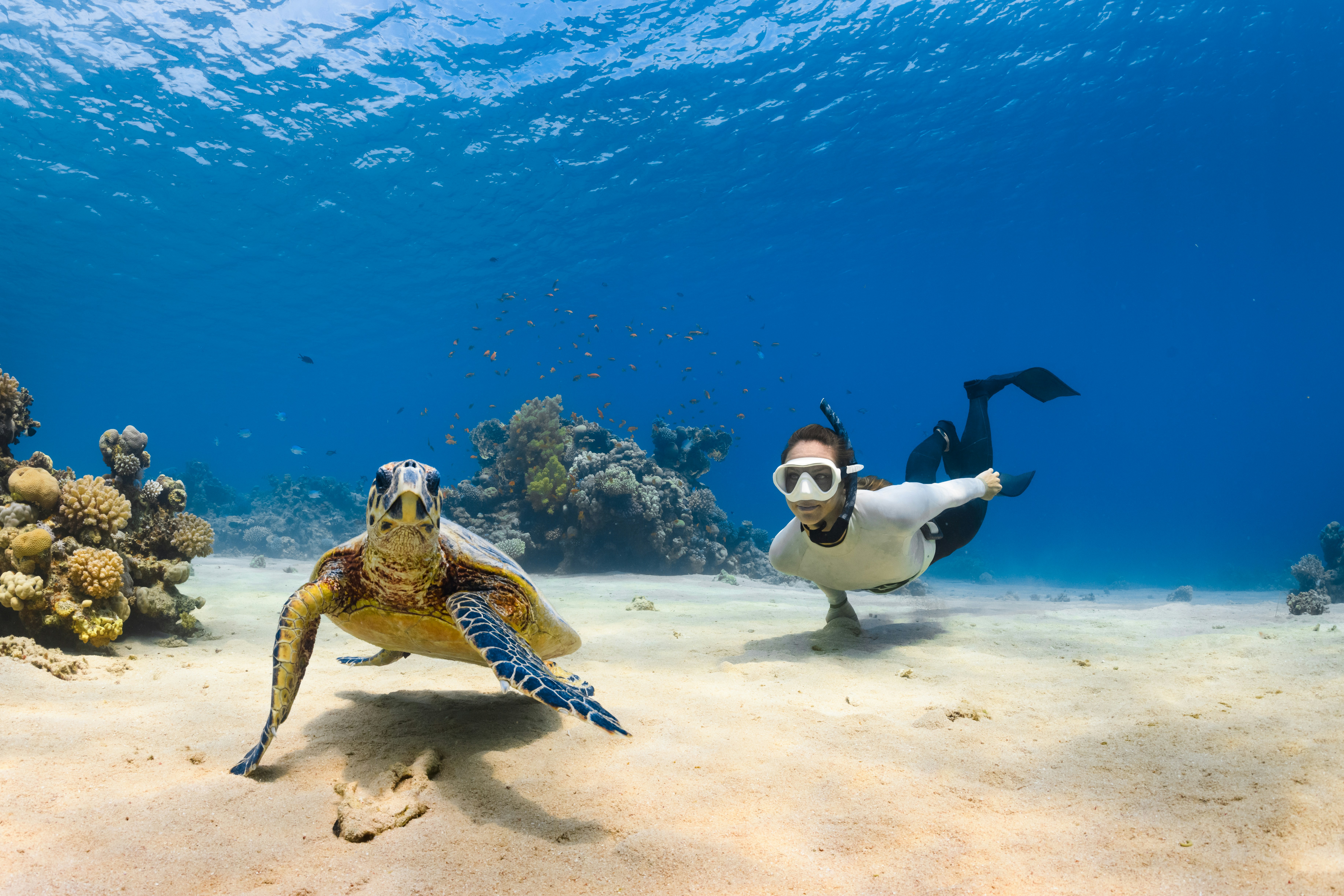 Mnemba Atoll