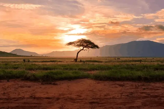 Kenya lodge