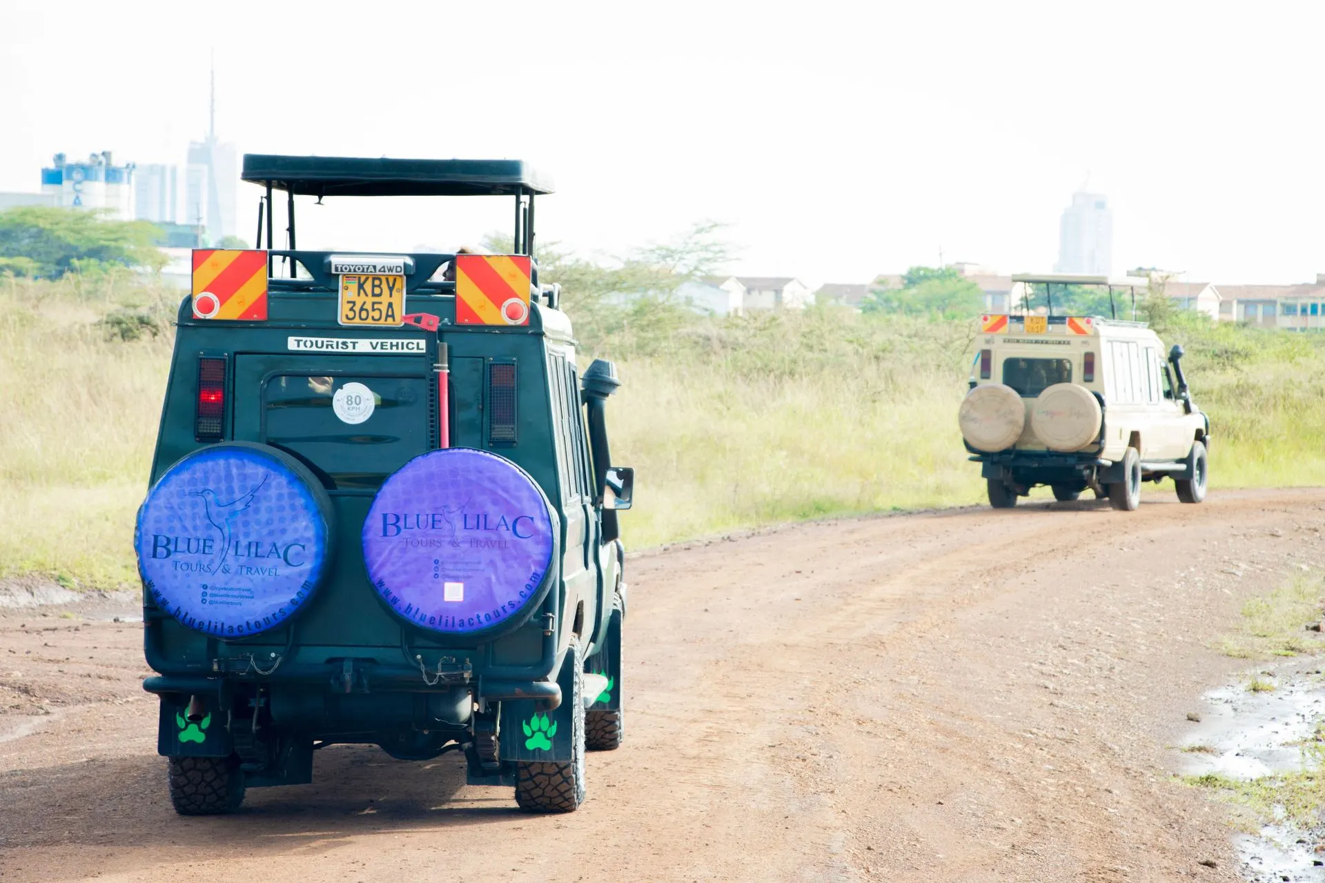 Kenya Safari Budget Guide: How Much Does a Kenya Safari Cost?