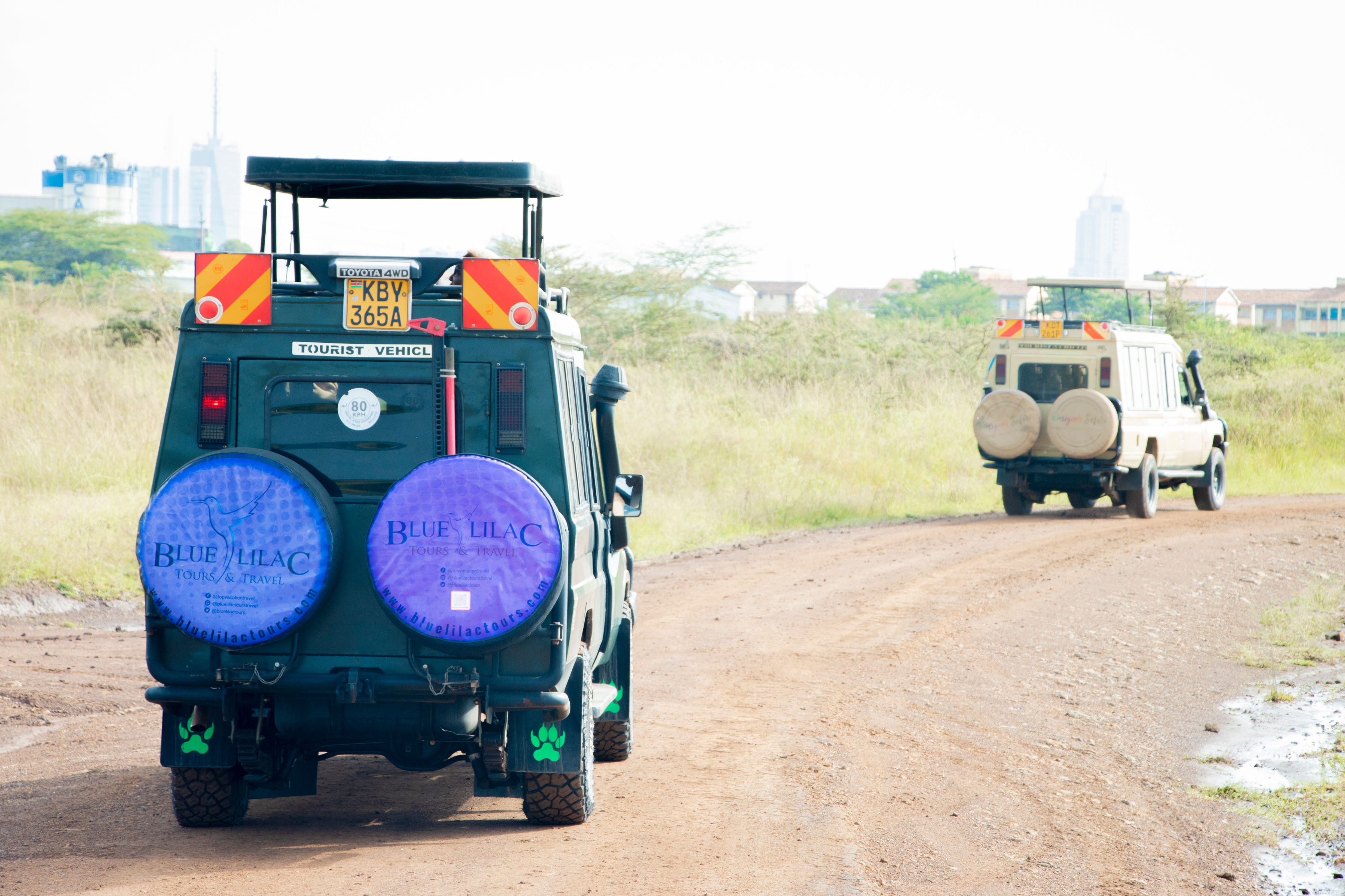 Kenya Safari Budget Guide: How Much Does a Kenya Safari Cost?
