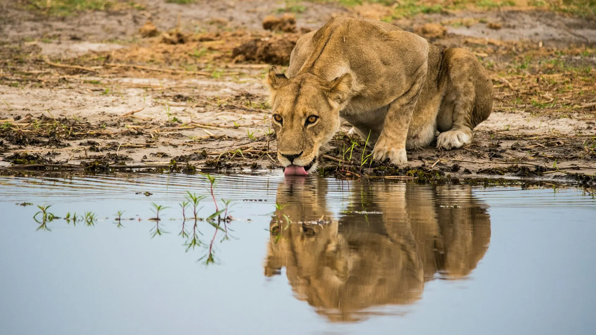 Amboseli National Park