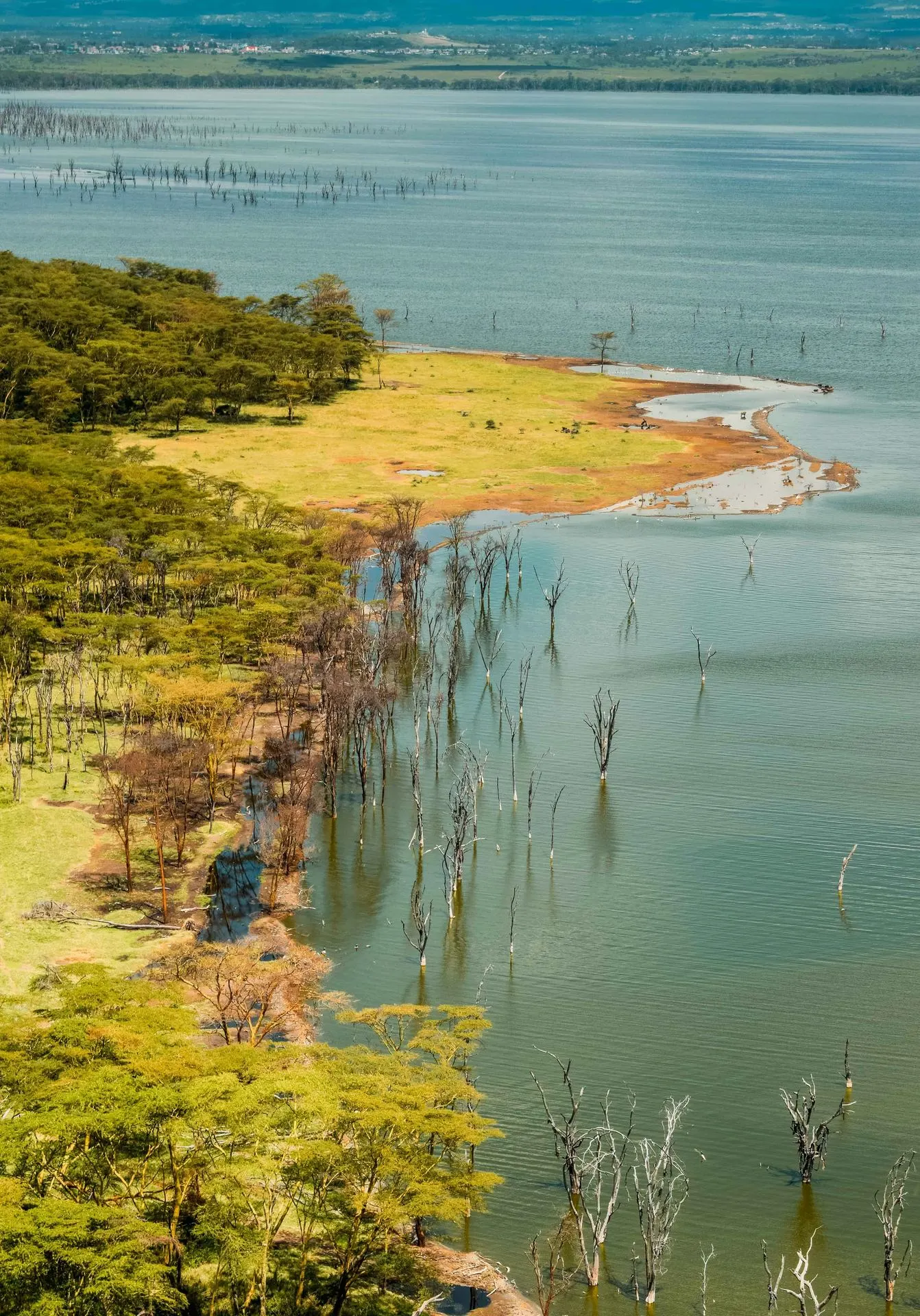 Lake Nakuru National Park