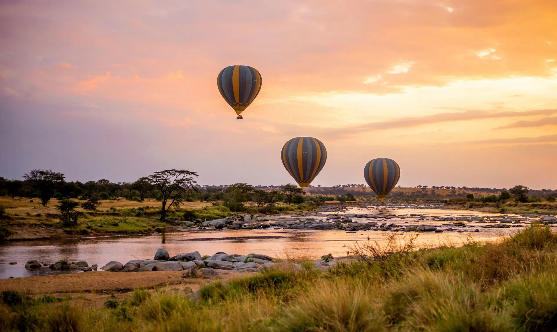 Hot air balloon over Serengeti at sunrise