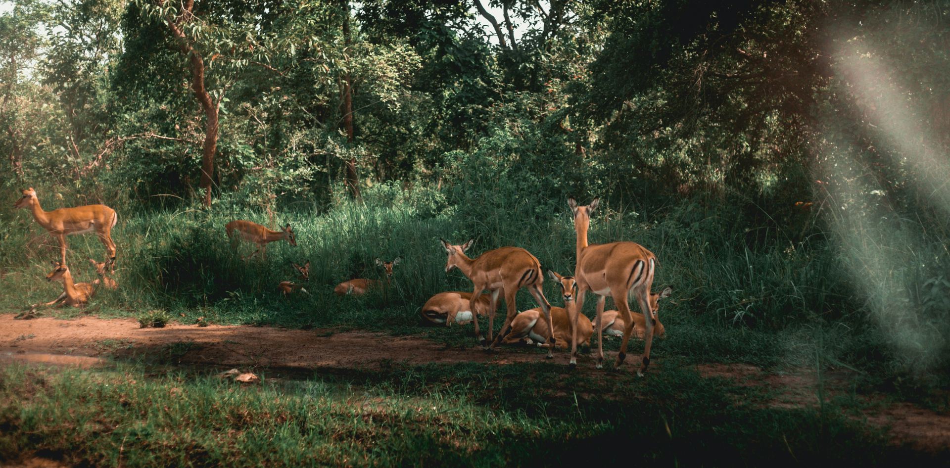Rwanda