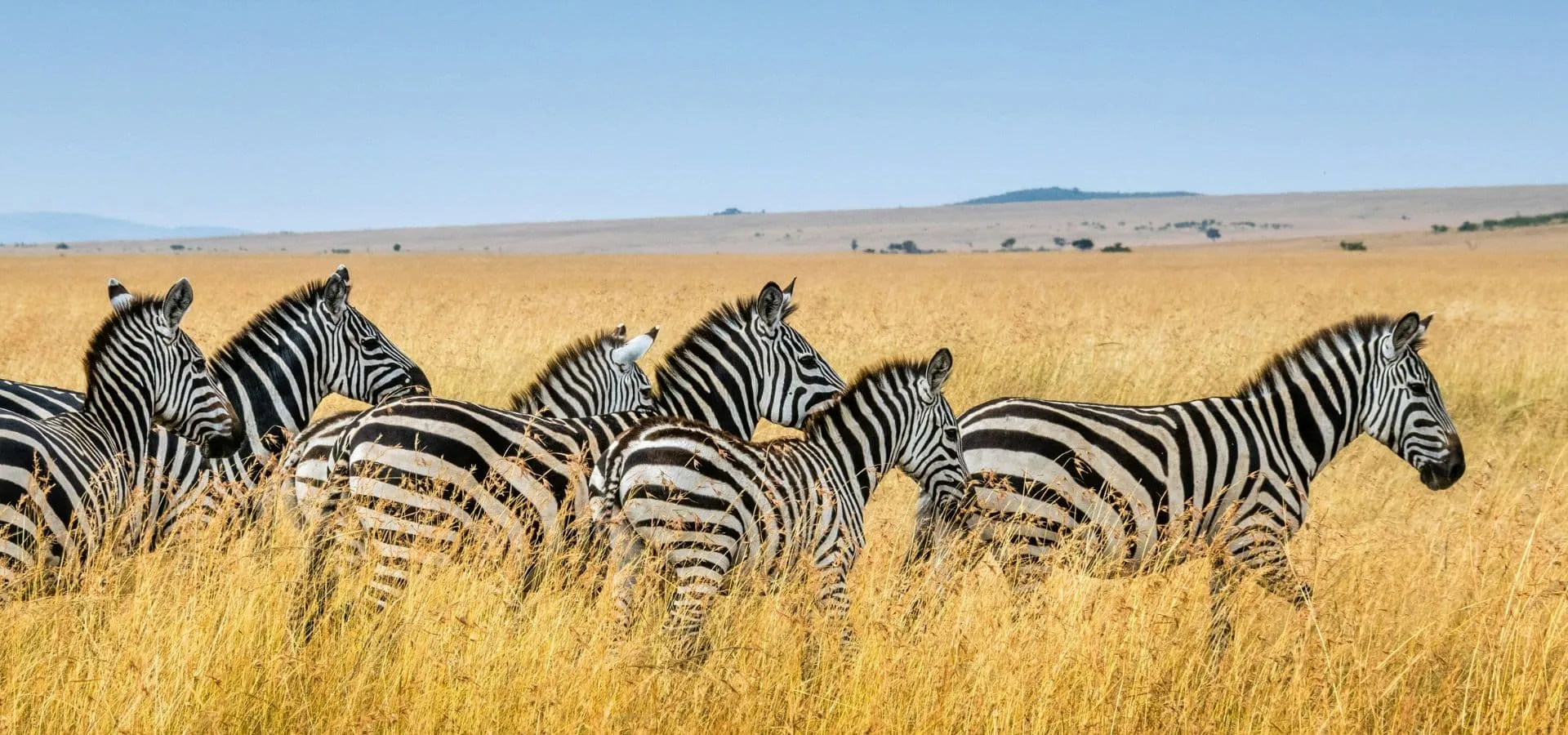 Tarangire National Park