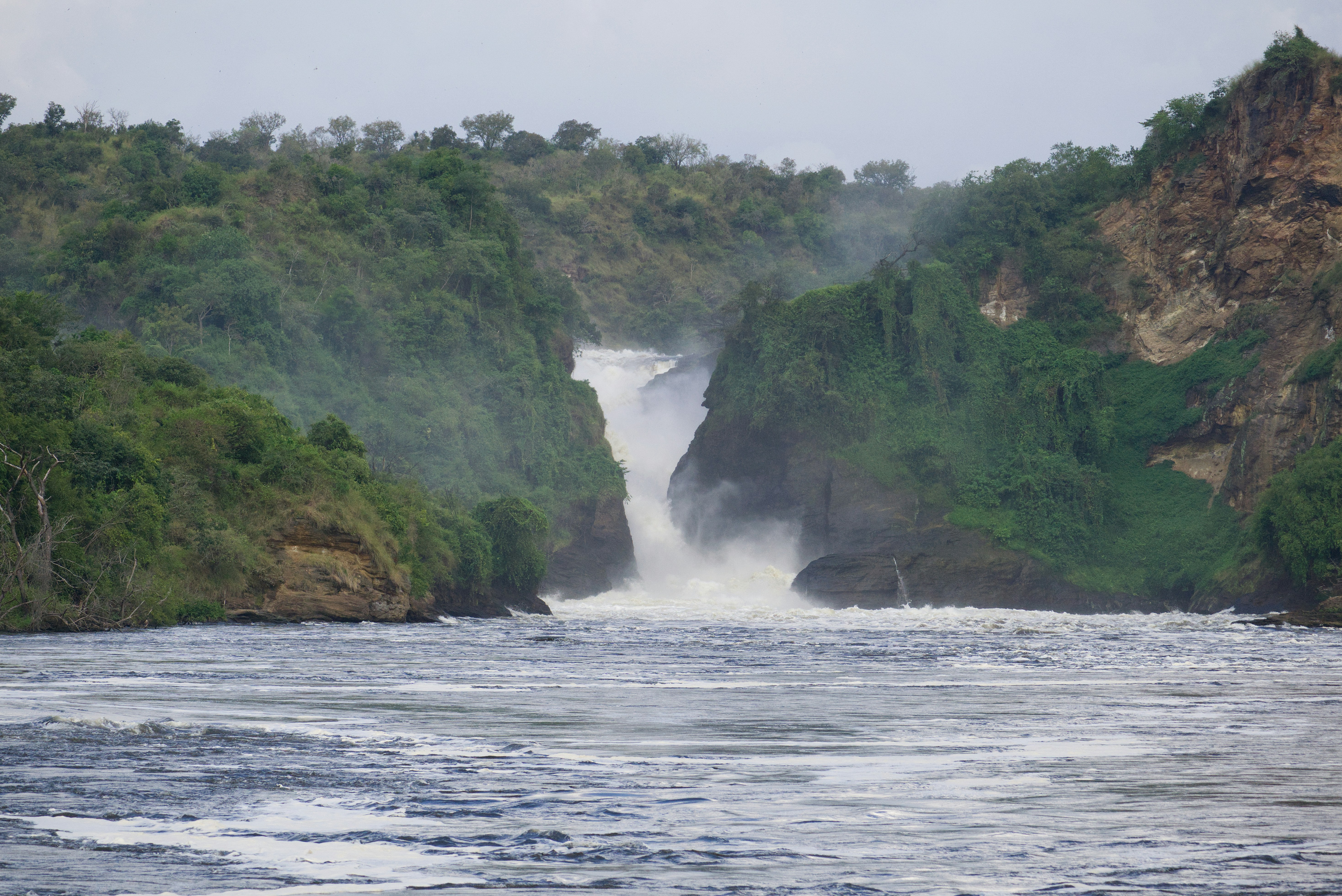 Safari landscape