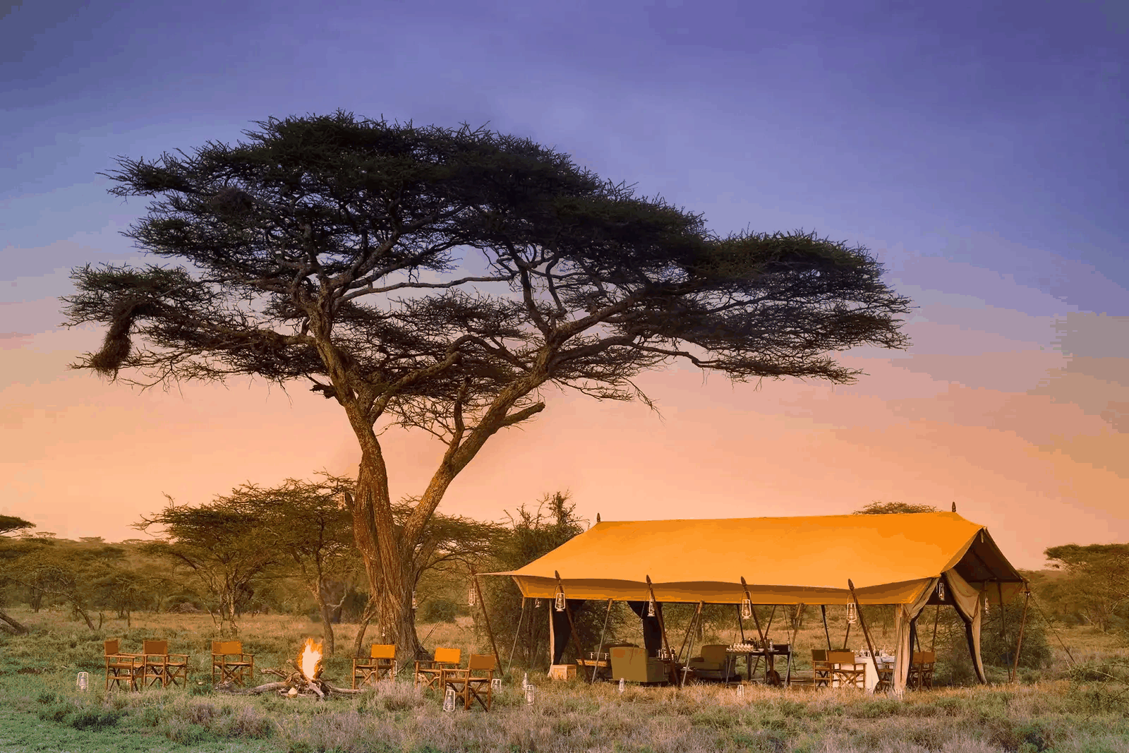 Luxury Serengeti Under the Stars