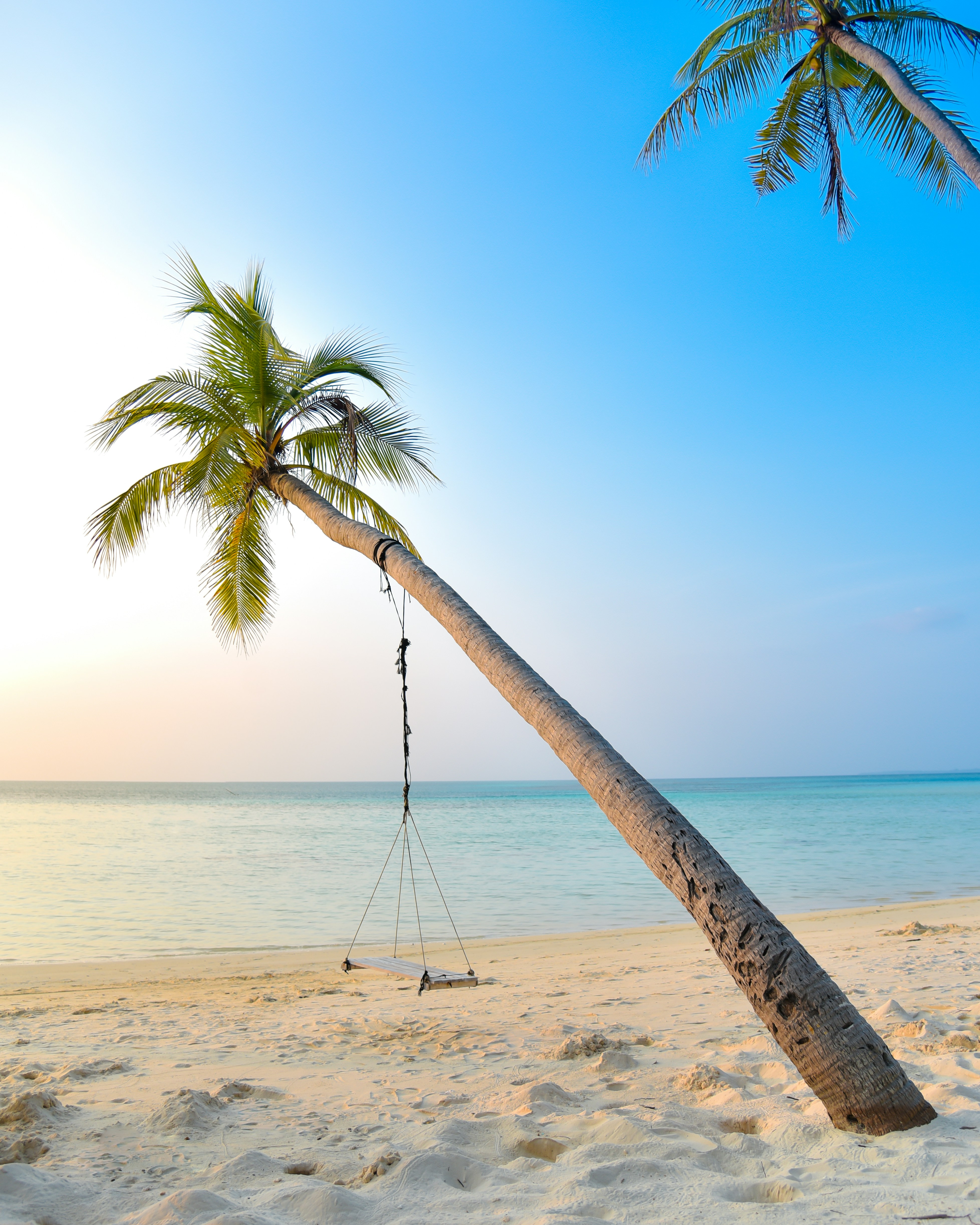 Zanzibar landscape